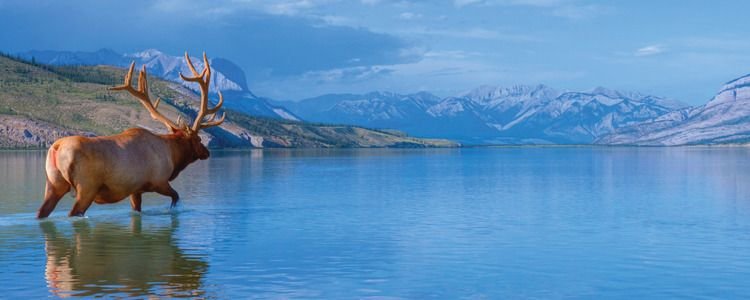 Canada Rockies & Cities