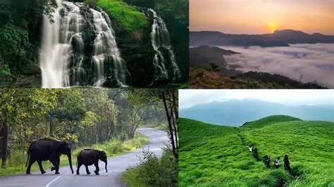 Coorg & Wayanad