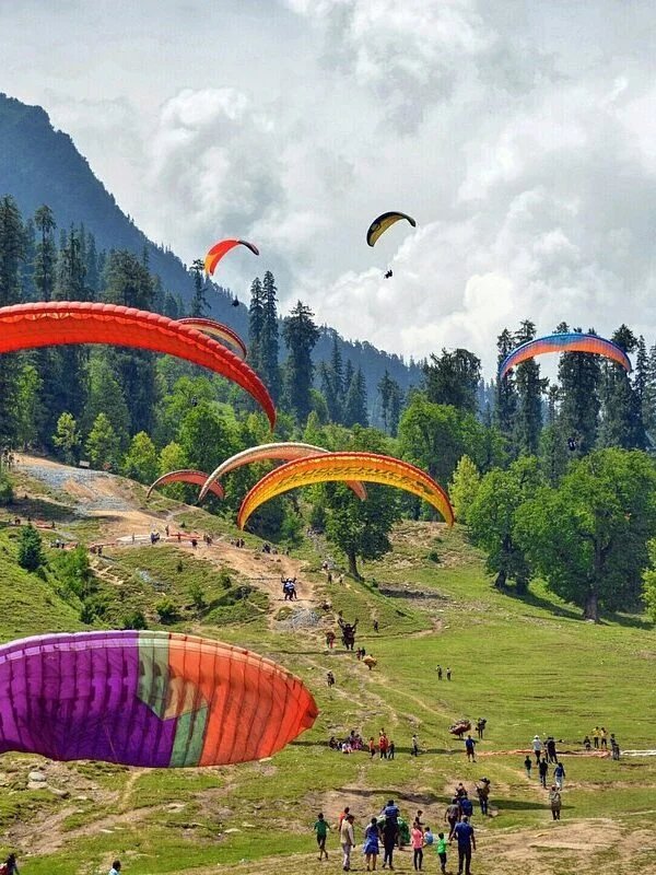 Manali & Chandigarh