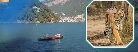 Nainital & Jim Corbett
