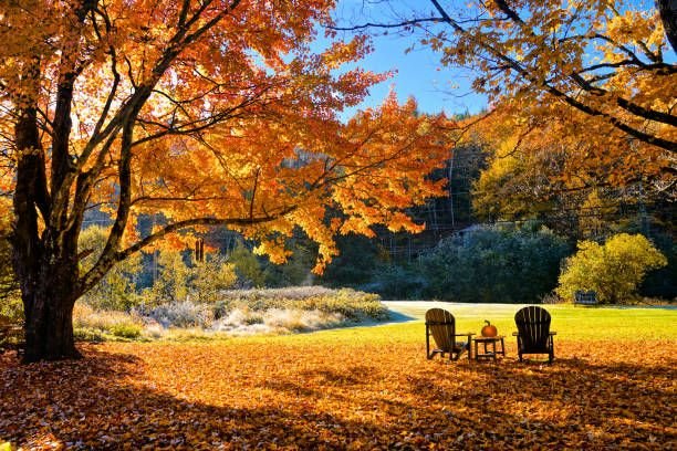 New England Fall Colors